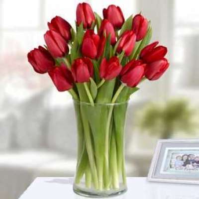 Tulips Lov Profile Picture