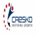 Cresko Consulting Profile Picture