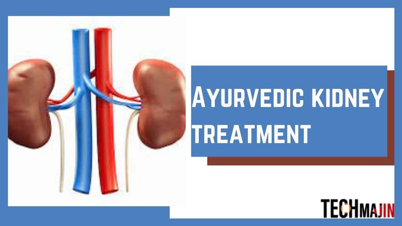How To Keep Your Kidneys Healthy Through Ayurvedic Kidney Treatment?
