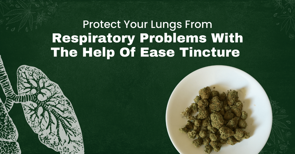 Protect Your Lungs From Respiratory Problems With The Help Of Ease Tincture