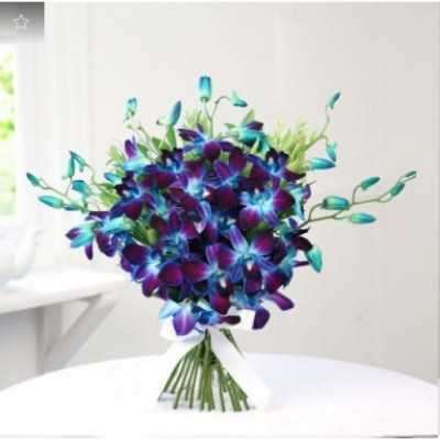 Beautiful 10 Blue Orchids Profile Picture
