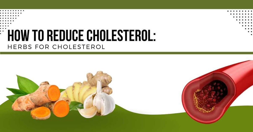 Herbs For Cholesterol: How To Reduce Cholesterol Level
