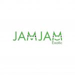 JamJam Exotic Profile Picture
