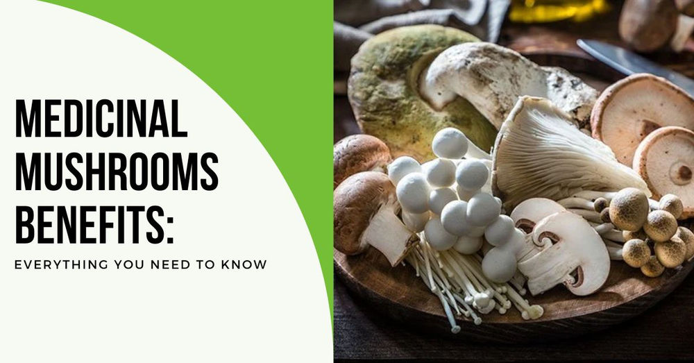 Medicinal Mushrooms Benefits: Top 5 Medicinal Mushrooms