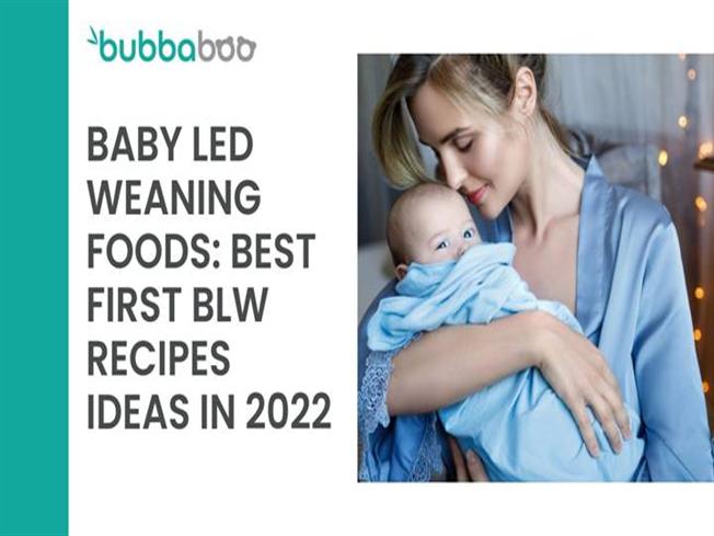 Baby Led Weaning Foods: Best First BLW Recipes Ideas in 2022  |authorSTREAM