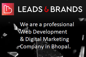 SEO Company in Bhopal | Leads and Brands