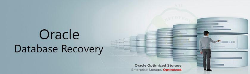 Best Oracle Database Recovery Services in Mumbai