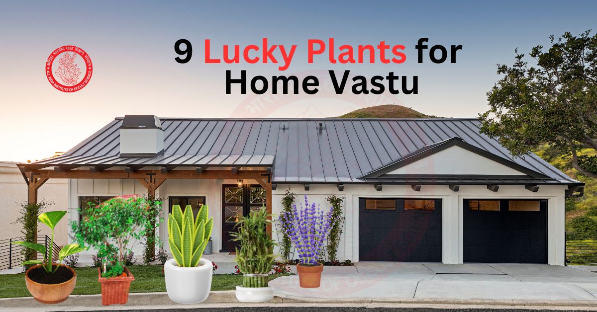 9 Lucky Plants for Home Vastu